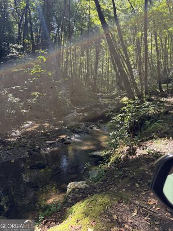 3 & 4 Jacks River Road Epworth GA 30541