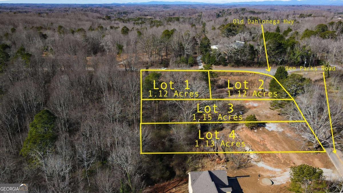 6010 Ben Parks Murrayville GA 30564