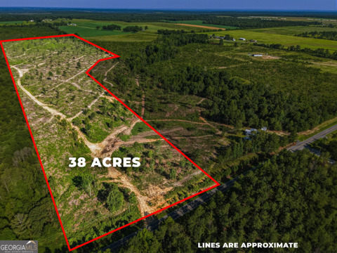 38 Acres N Ga Highway 240 N Connector Mauk GA 31058