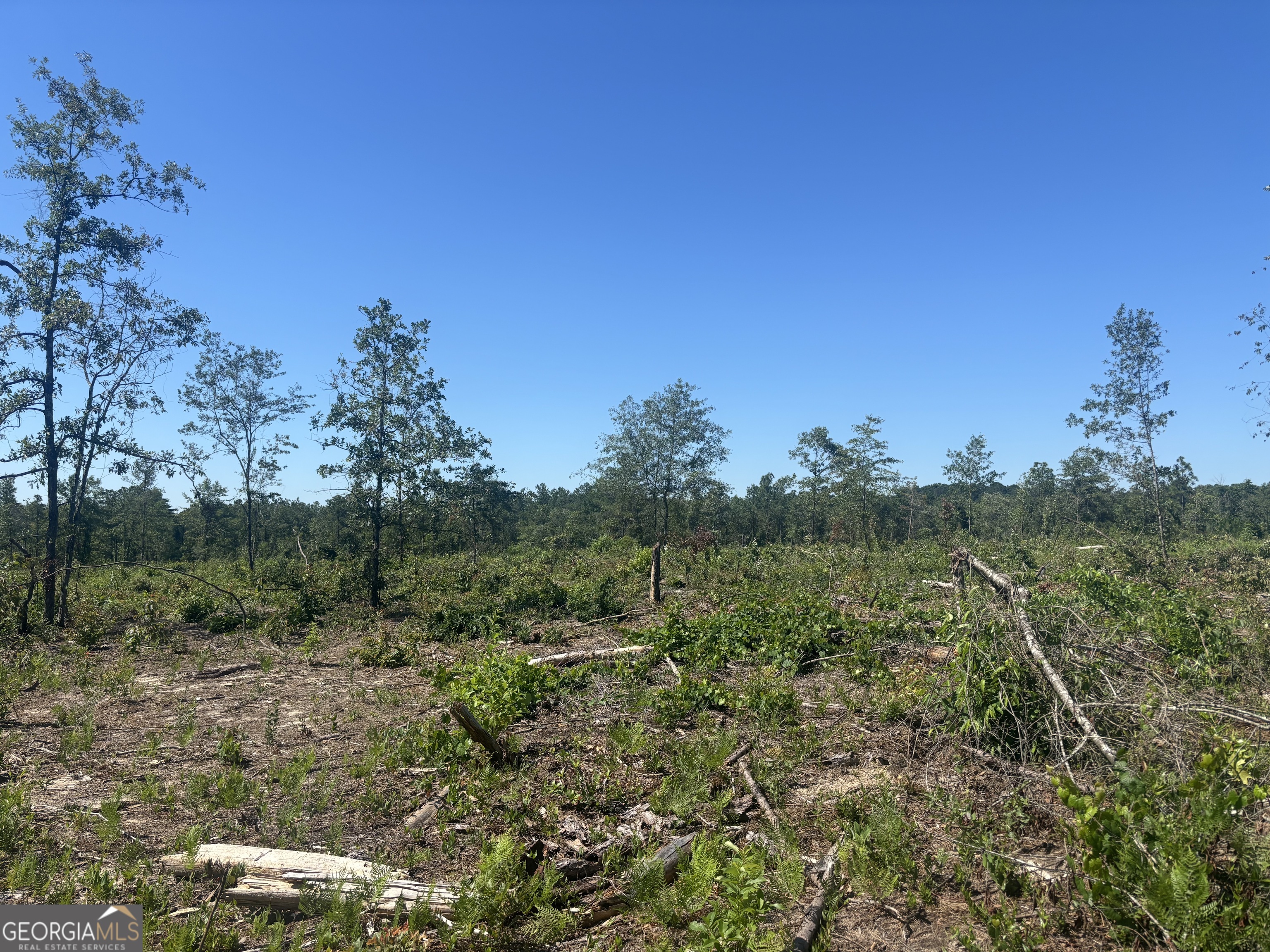 38 Acres N Ga Highway 240 N Connector Mauk GA 31058