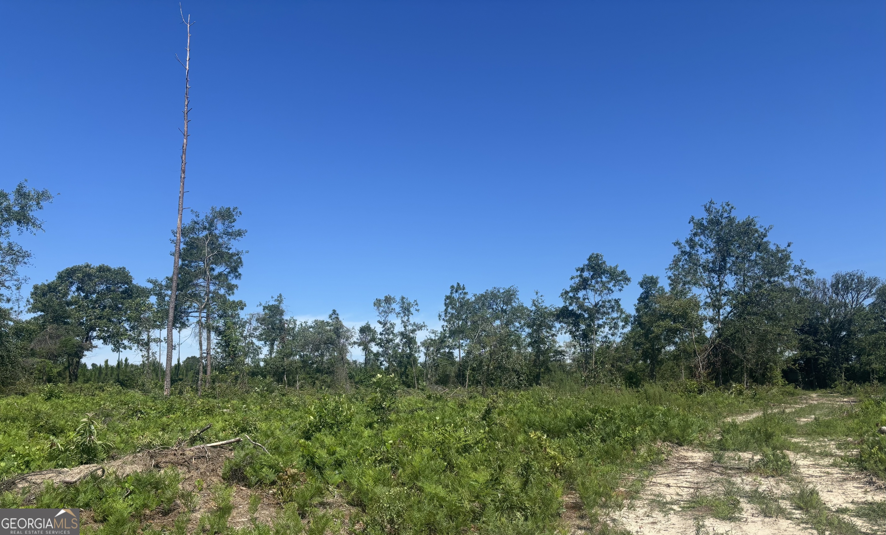38 Acres N Ga Highway 240 N Connector Mauk GA 31058