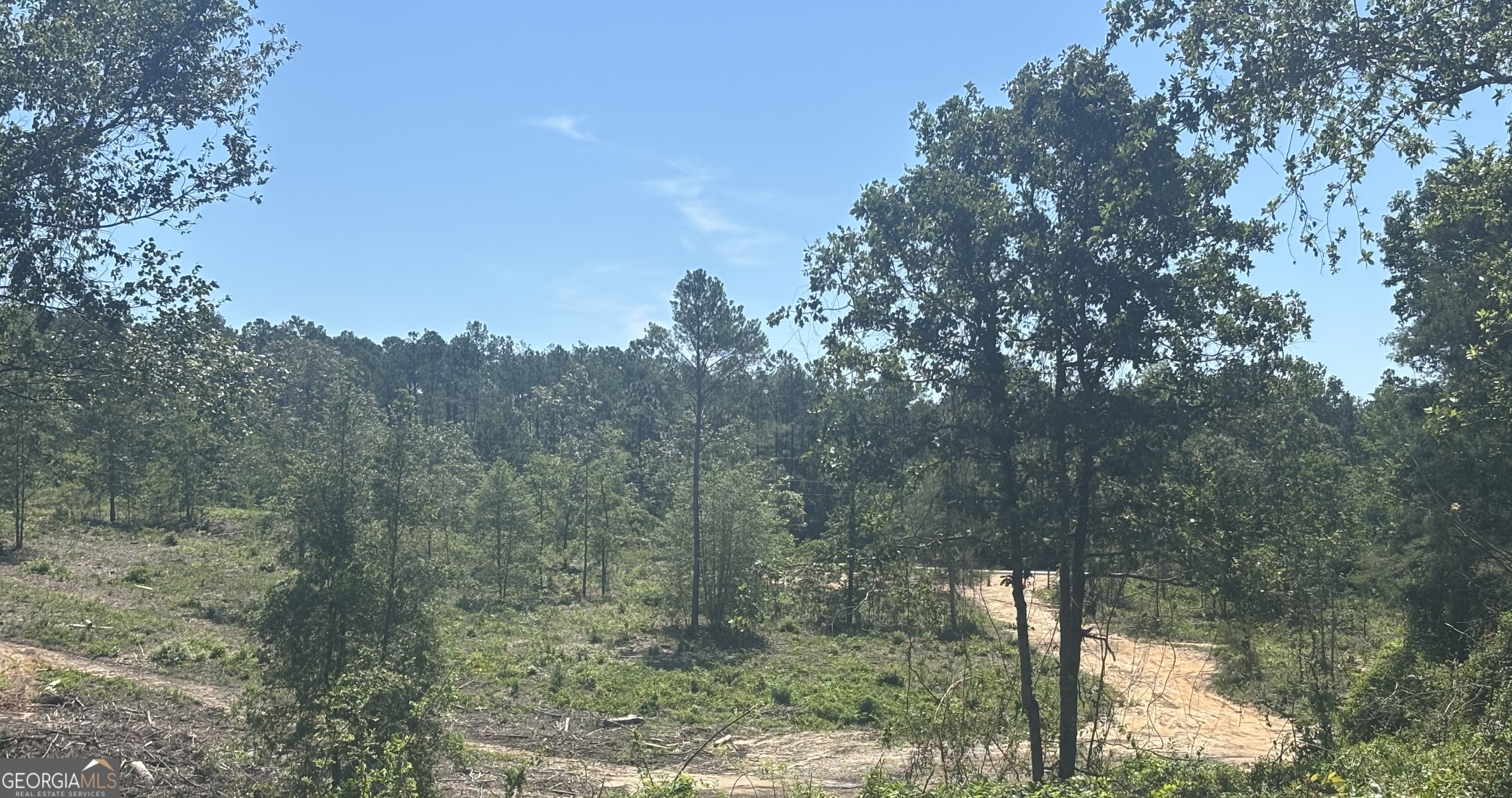 38 Acres N Ga Highway 240 N Connector Mauk GA 31058