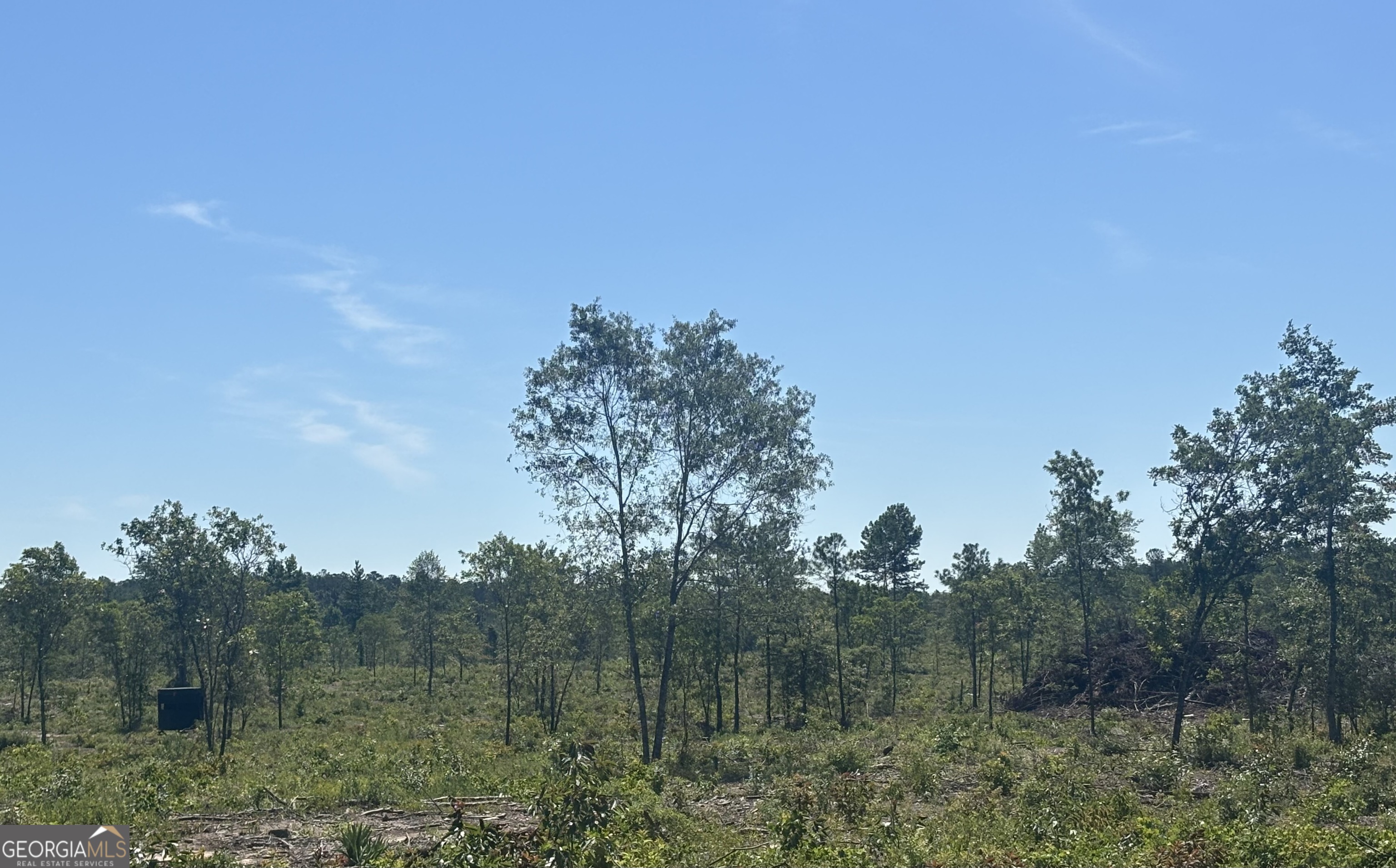 38 Acres N Ga Highway 240 N Connector Mauk GA 31058