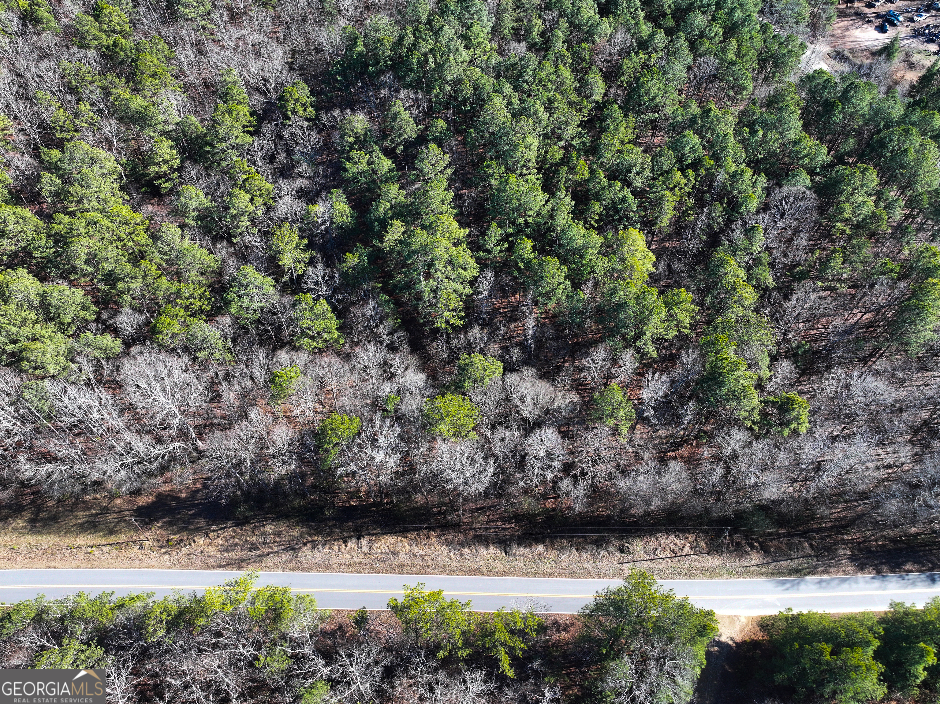 125 George Green Road (9 +/- Acres) Tallapoosa GA 30176