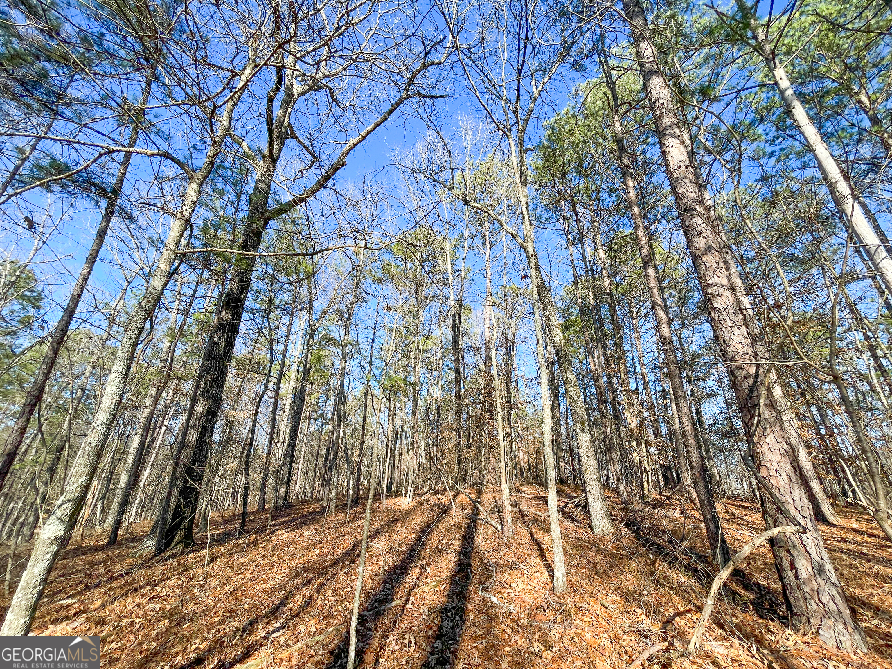 125 George Green Road (9 +/- Acres) Tallapoosa GA 30176