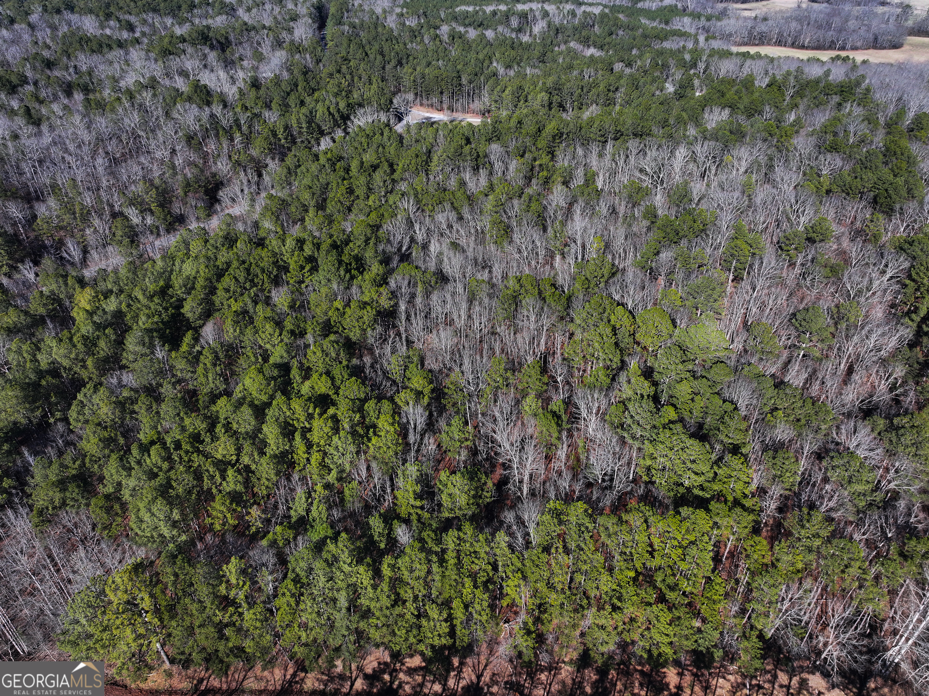 125 George Green Road (9 +/- Acres) Tallapoosa GA 30176