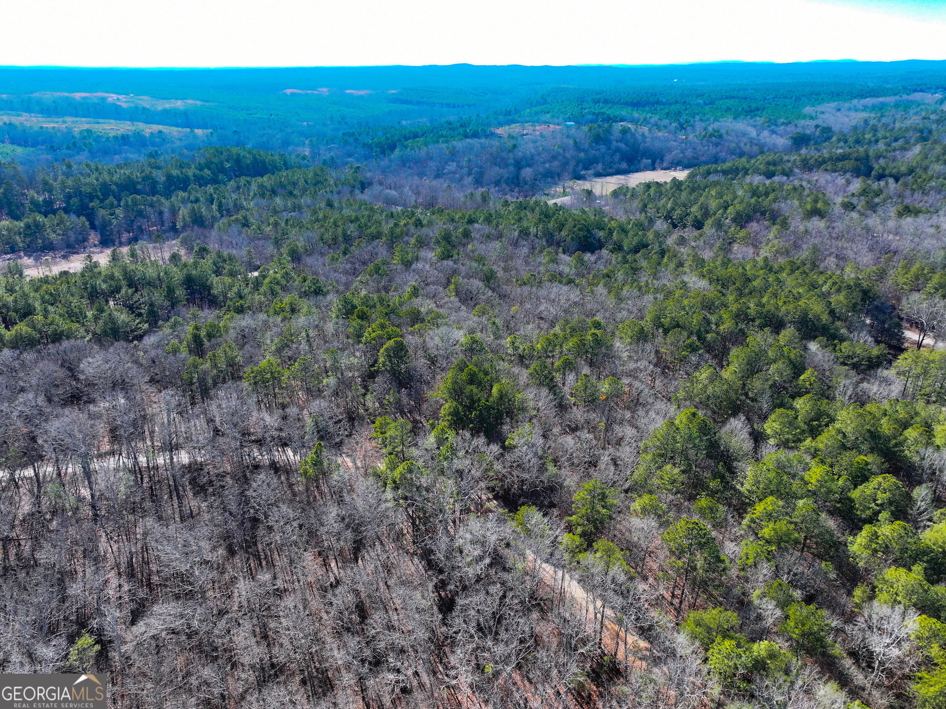 125 George Green Road (9 +/- Acres) Tallapoosa GA 30176