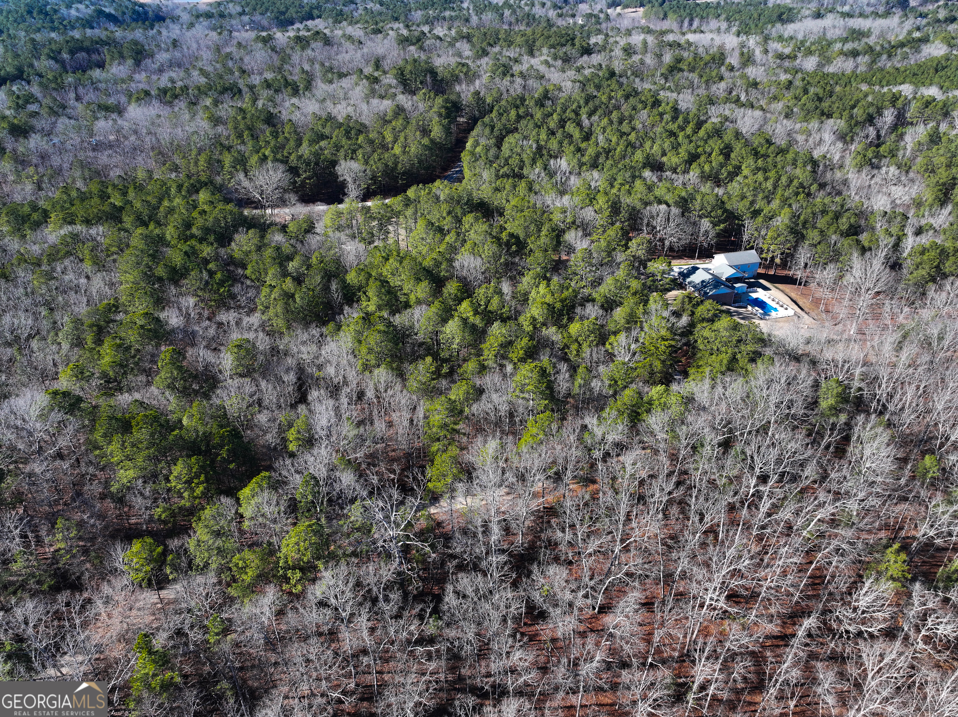 125 George Green Road (9 +/- Acres) Tallapoosa GA 30176