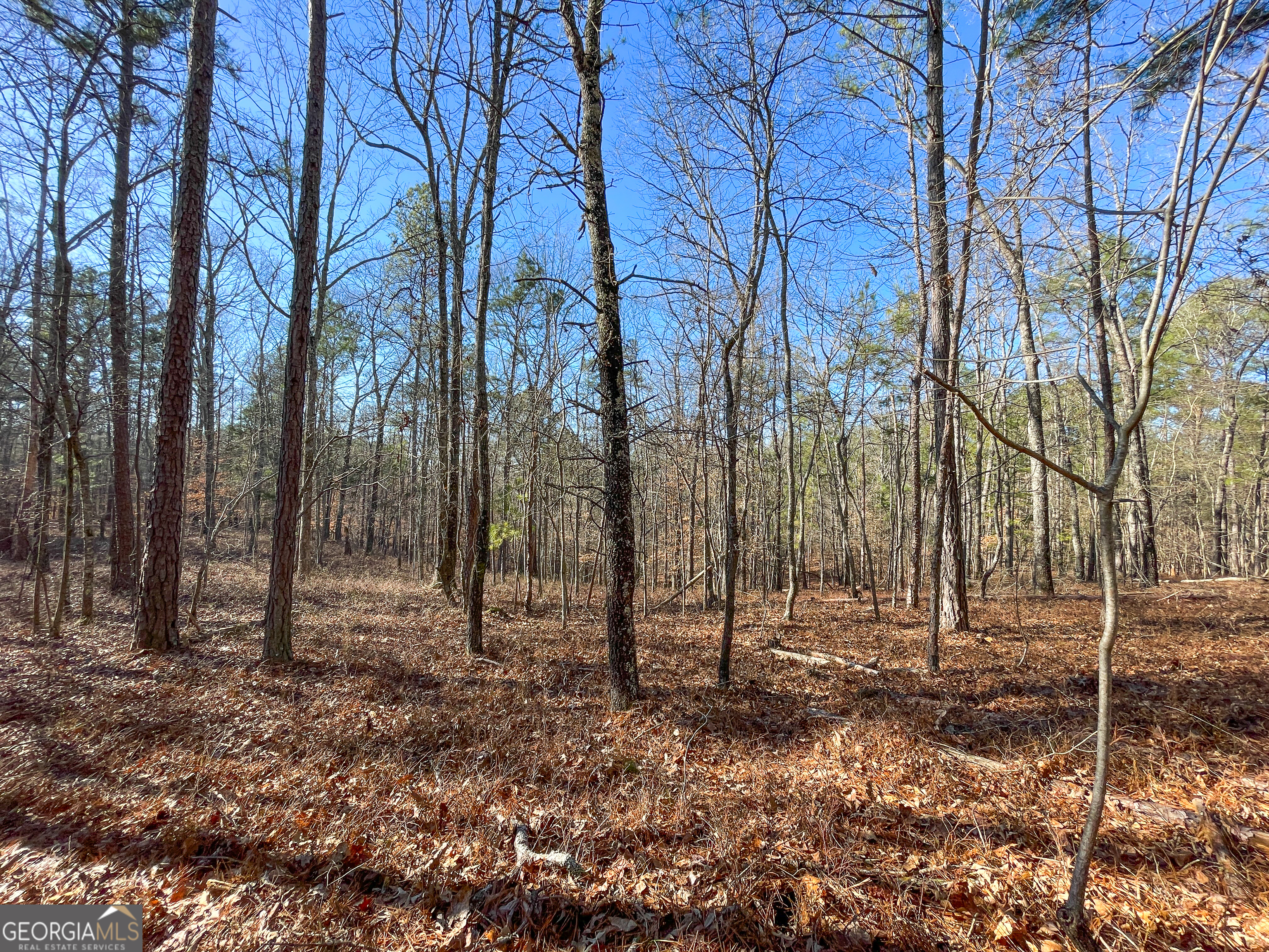 125 George Green Road (9 +/- Acres) Tallapoosa GA 30176