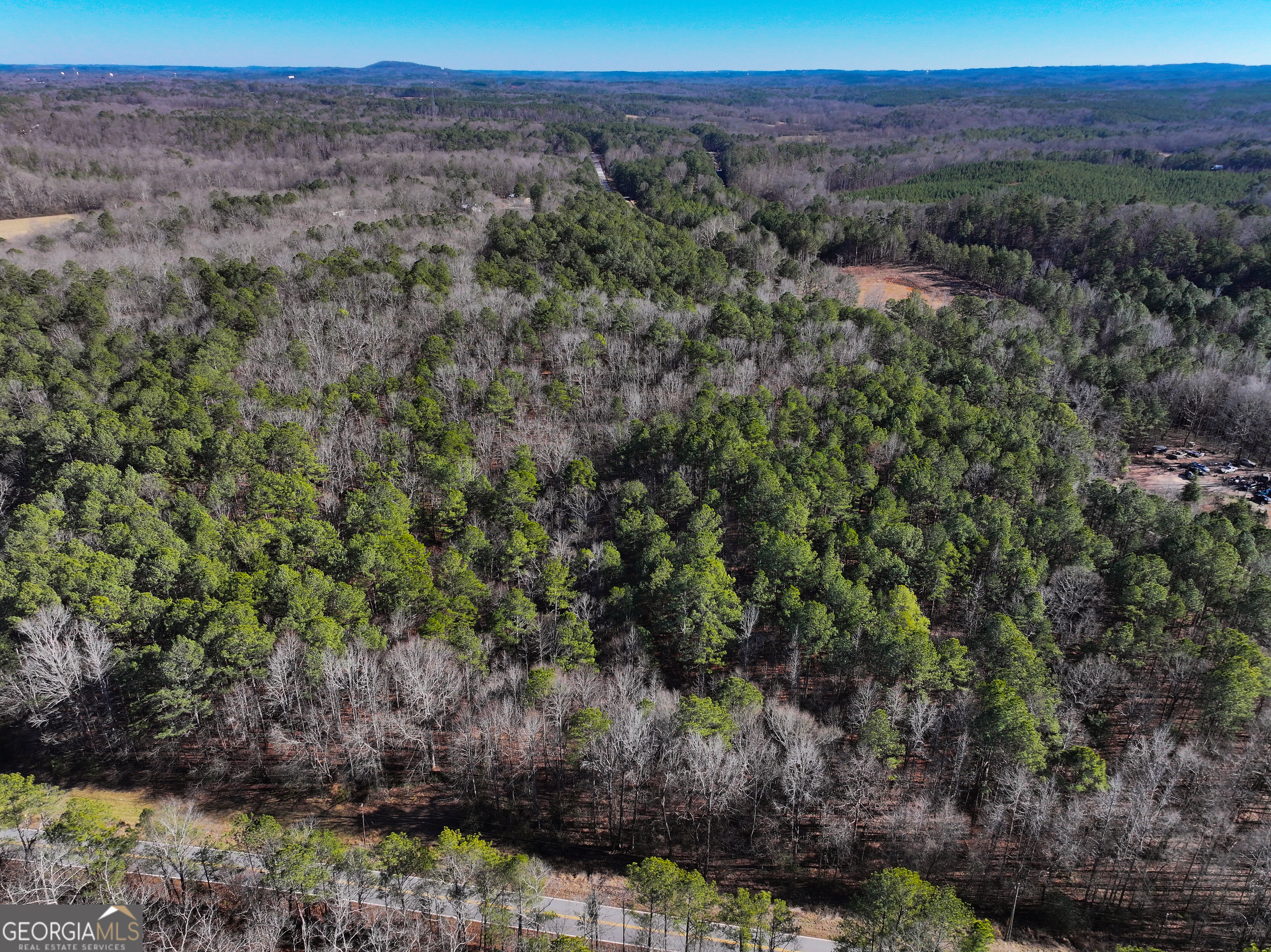 125 George Green Road (9 +/- Acres) Tallapoosa GA 30176