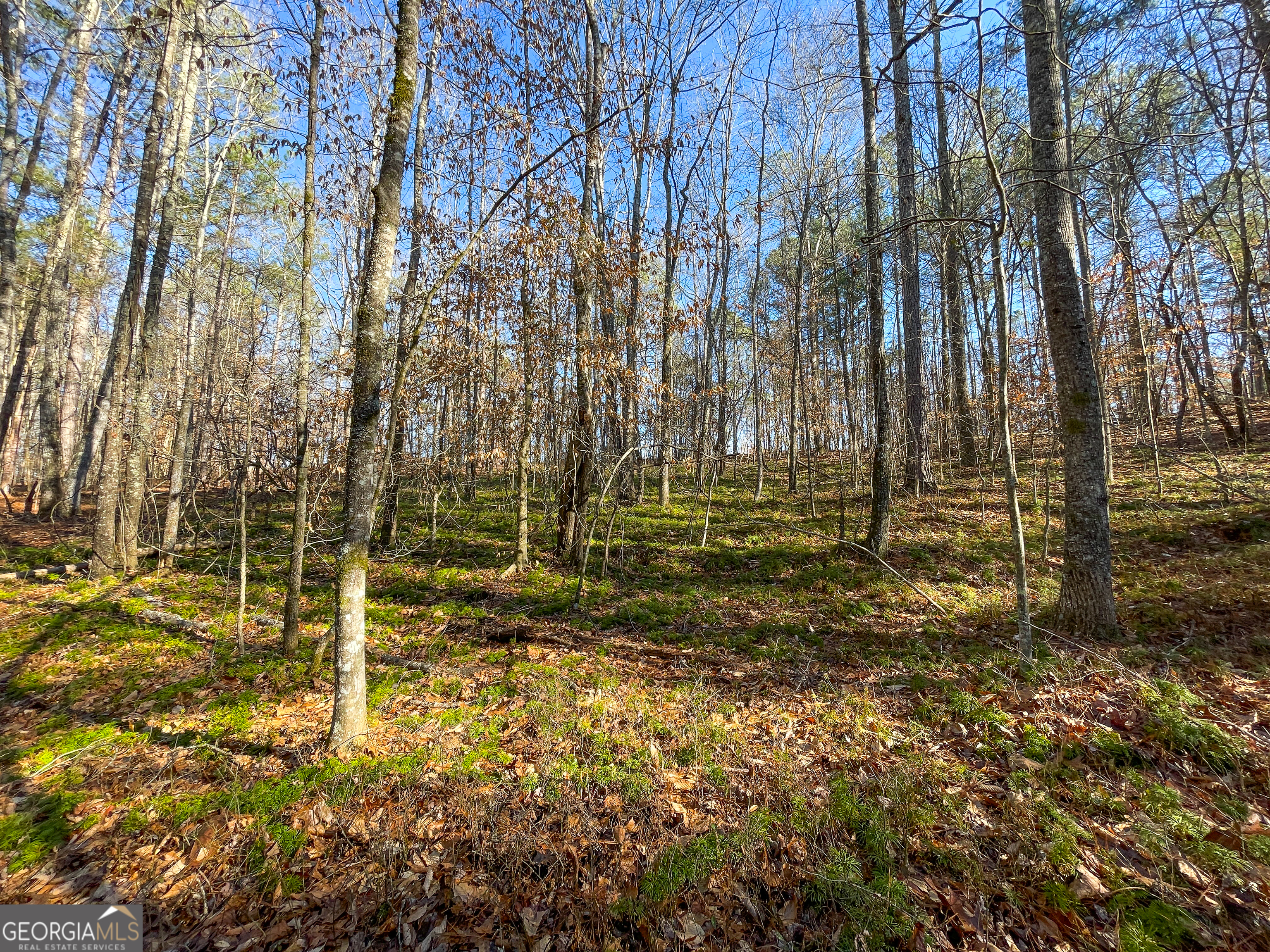 125 George Green Road (9 +/- Acres) Tallapoosa GA 30176