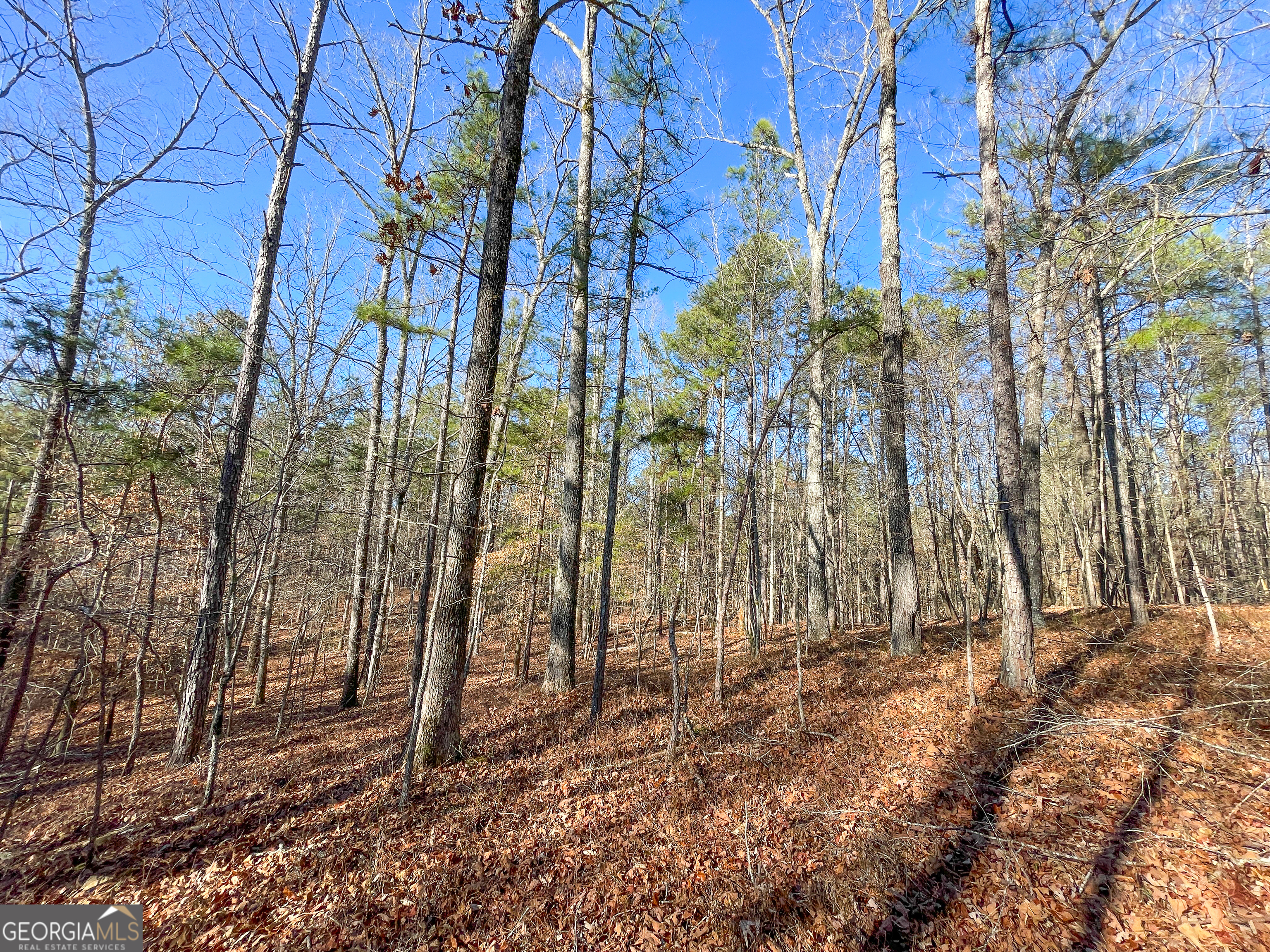 125 George Green Road (9 +/- Acres) Tallapoosa GA 30176