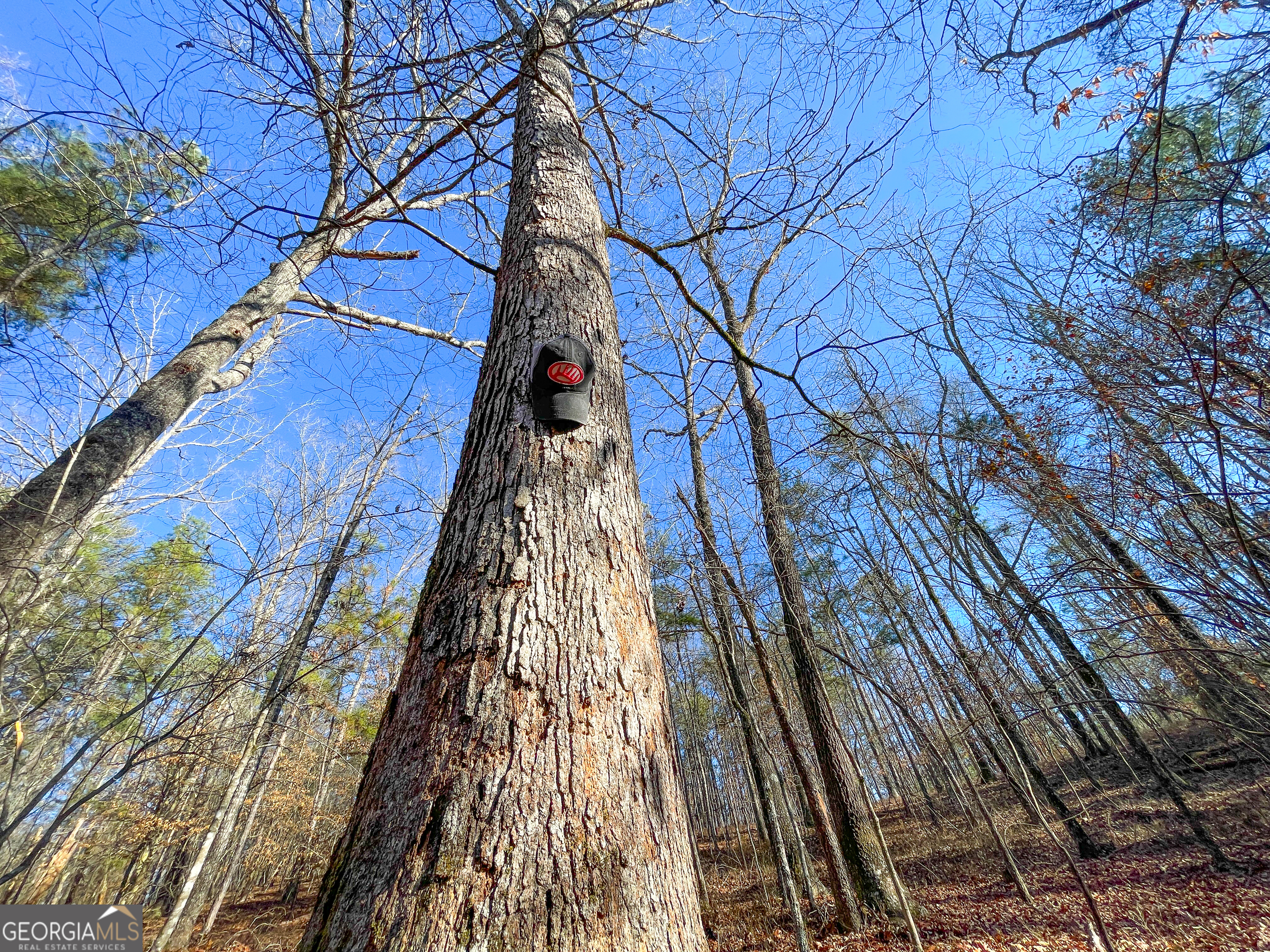 125 George Green Road (9 +/- Acres) Tallapoosa GA 30176