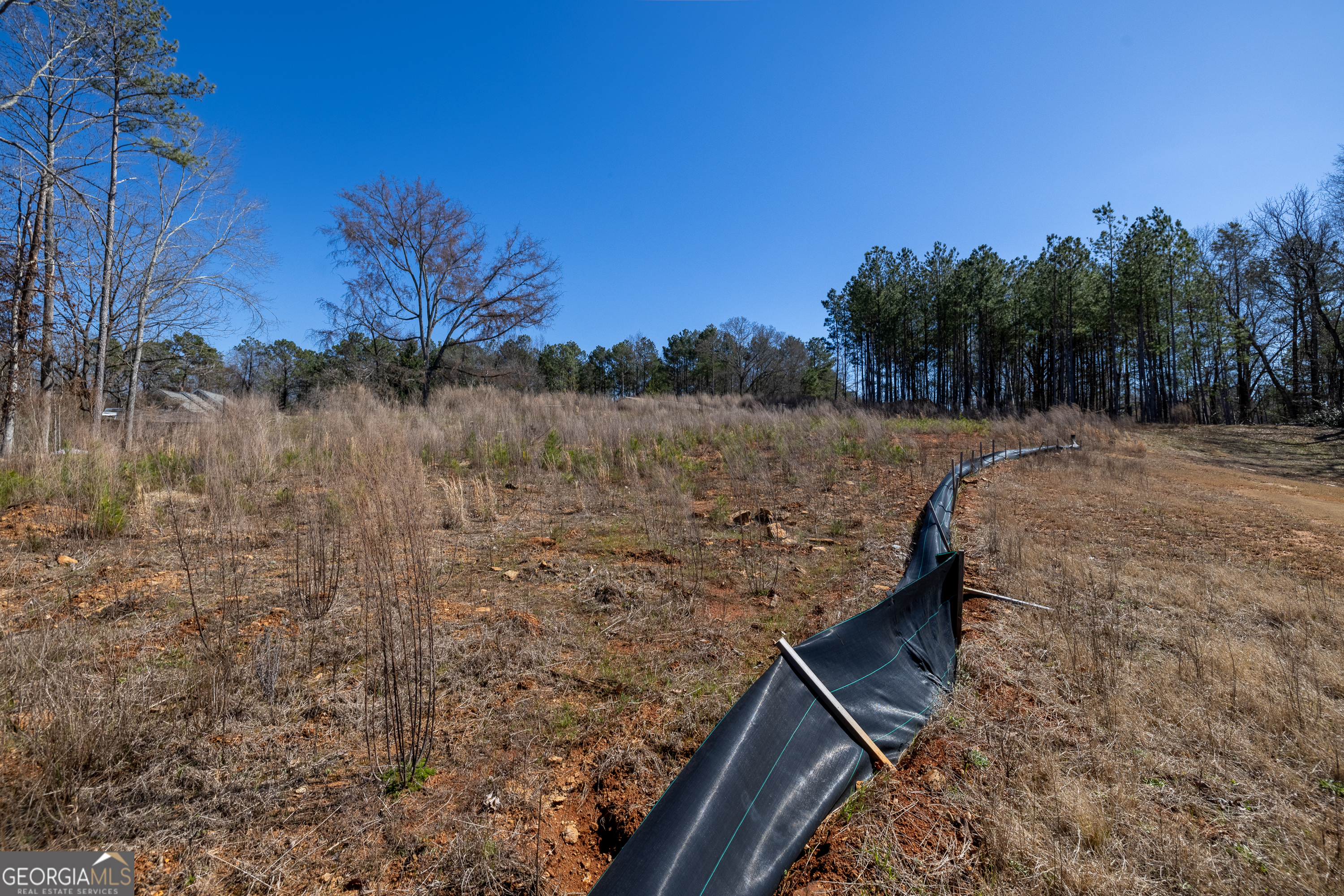 2039 Fontainbleau Drive Conyers GA 30094