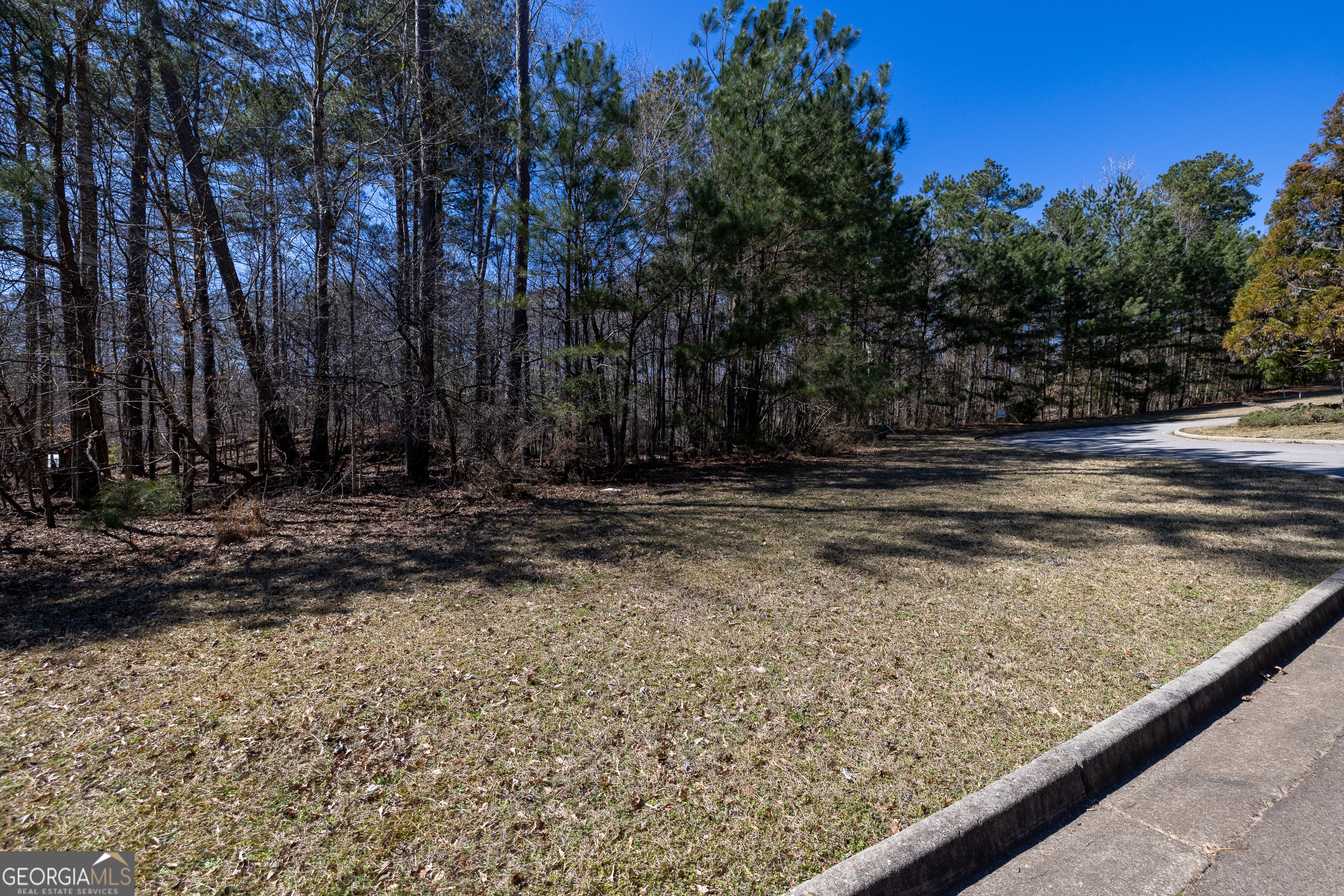 2039 Fontainbleau Drive Conyers GA 30094