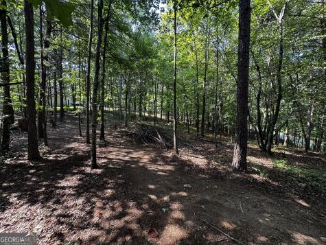0 Rainbow Circle Cleveland GA 30528