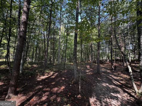 0 Rainbow Circle Cleveland GA 30528