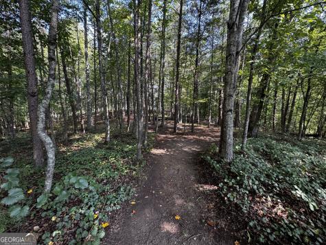 0 Rainbow Circle Cleveland GA 30528