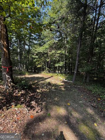 0 Rainbow Circle Cleveland GA 30528