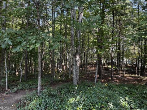 0 Rainbow Circle Cleveland GA 30528