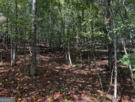 0 Rainbow Circle Cleveland GA 30528