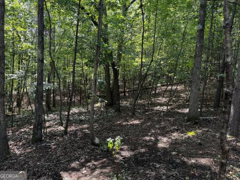0 Rainbow Circle Cleveland GA 30528