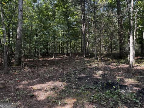 0 Rainbow Circle Cleveland GA 30528