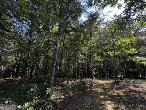 0 Rainbow Circle Cleveland GA 30528