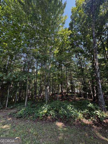 0 Rainbow Circle Cleveland GA 30528