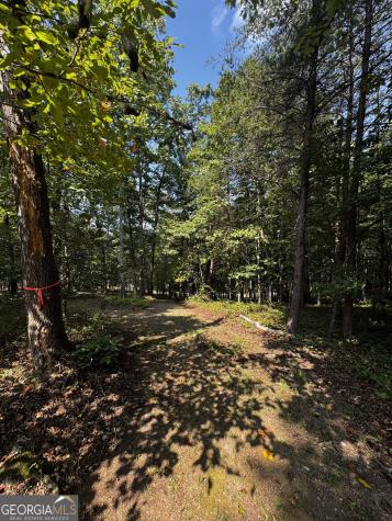 0 Rainbow Circle Cleveland GA 30528