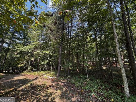0 Rainbow Circle Cleveland GA 30528