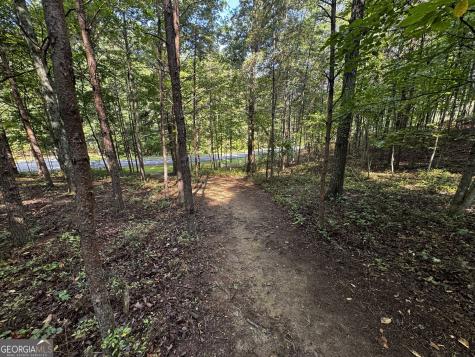 0 Rainbow Circle Cleveland GA 30528