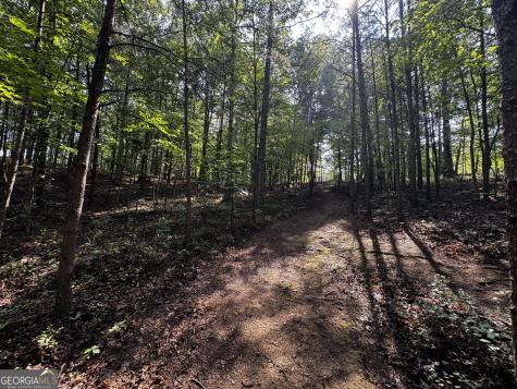 0 Rainbow Circle Cleveland GA 30528