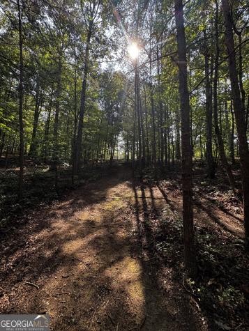 0 Rainbow Circle Cleveland GA 30528