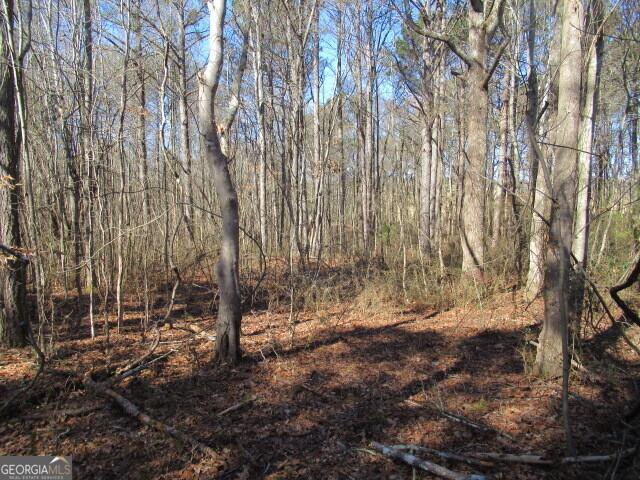 5050 Stateline Road Bowdon GA 30108