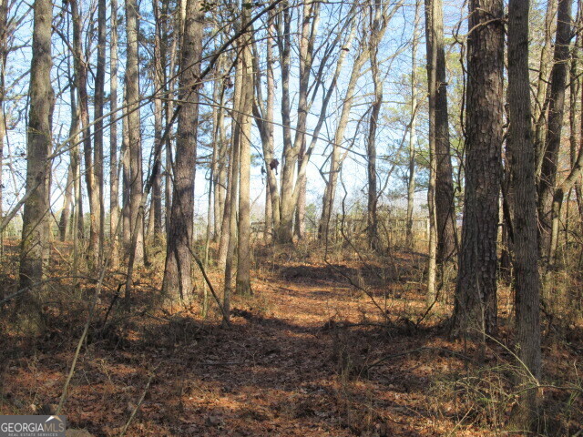5050 Stateline Road Bowdon GA 30108