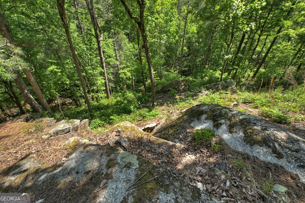 Lot 90r Mountain Creek Hollow Drive Talking Rock GA 30175