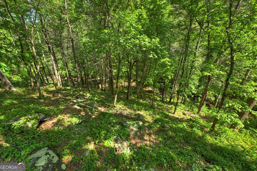 Lot 90r Mountain Creek Hollow Drive Talking Rock GA 30175