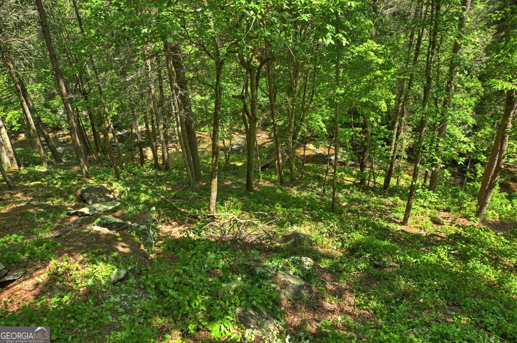 Lot 90r Mountain Creek Hollow Drive Talking Rock GA 30175