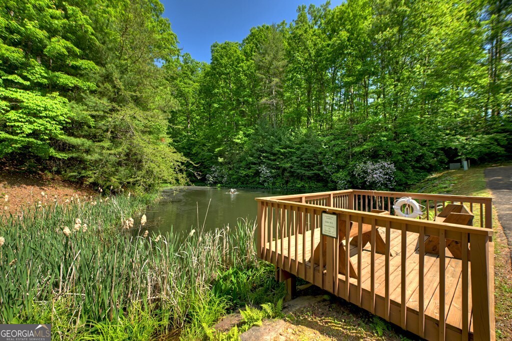Lot 90r Mountain Creek Hollow Drive Talking Rock GA 30175