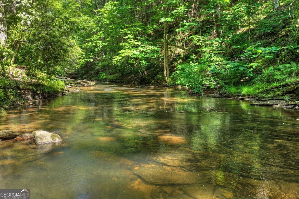 Lot 90r Mountain Creek Hollow Drive Talking Rock GA 30175