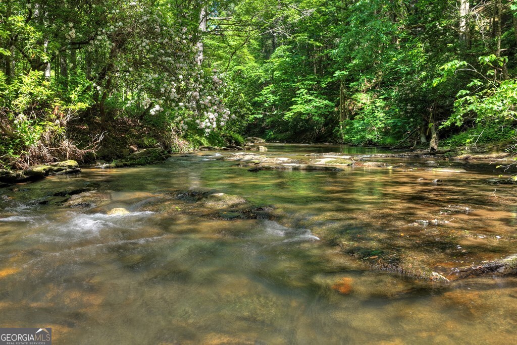 Lot 90r Mountain Creek Hollow Drive Talking Rock GA 30175
