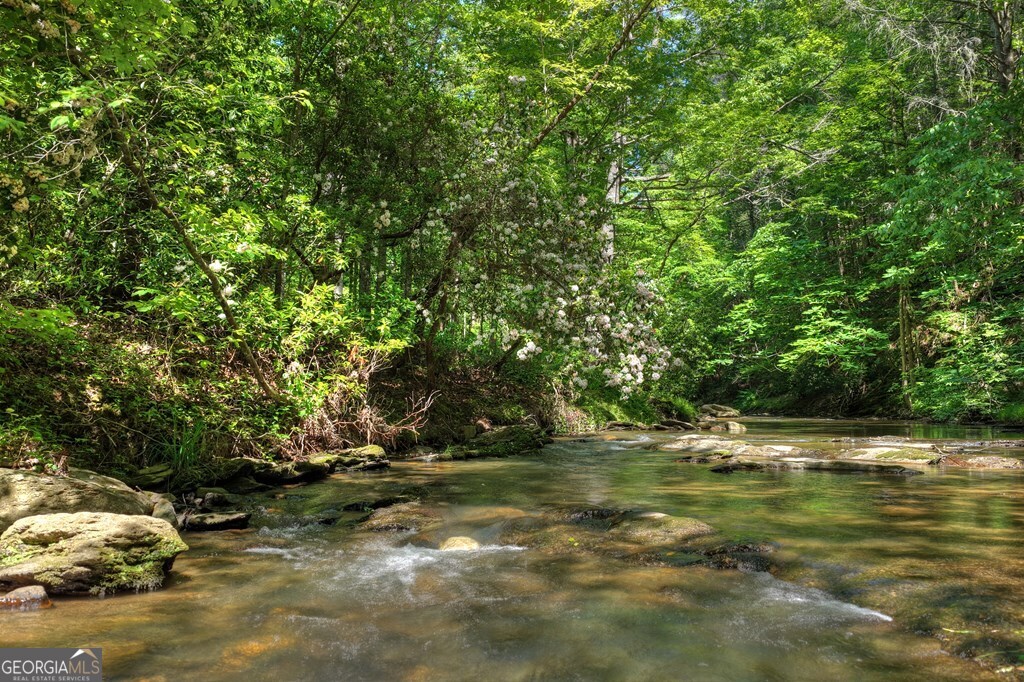 Lot 90r Mountain Creek Hollow Drive Talking Rock GA 30175