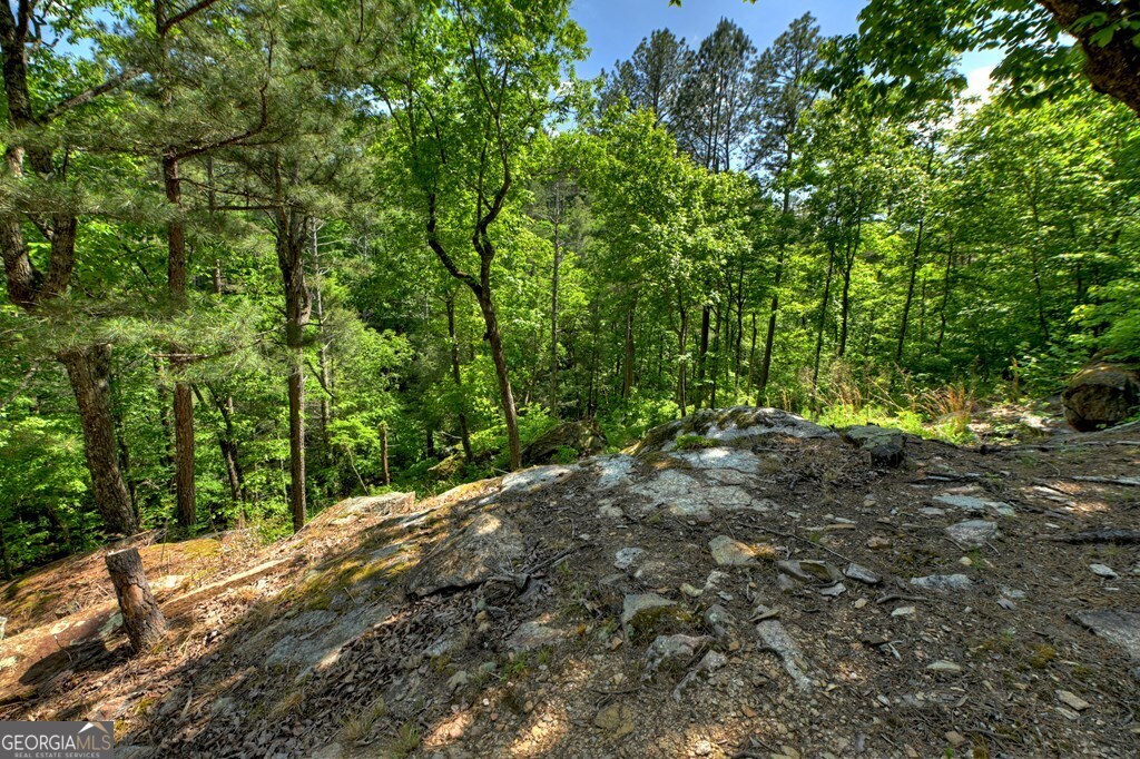 Lot 90r Mountain Creek Hollow Drive Talking Rock GA 30175