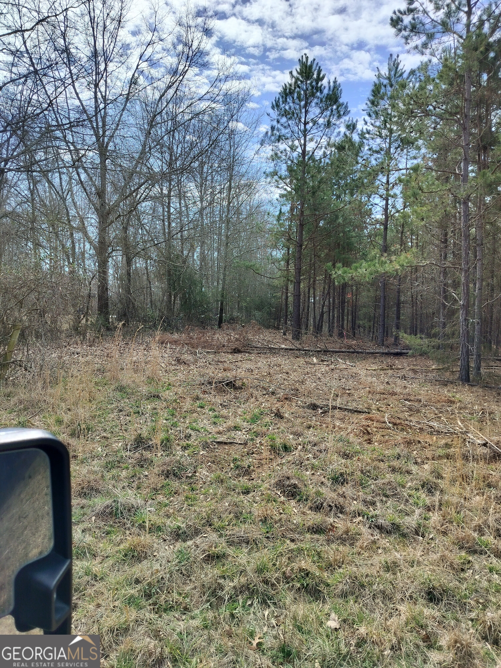 0 Hickory Log Circle Eastanollee GA 30538