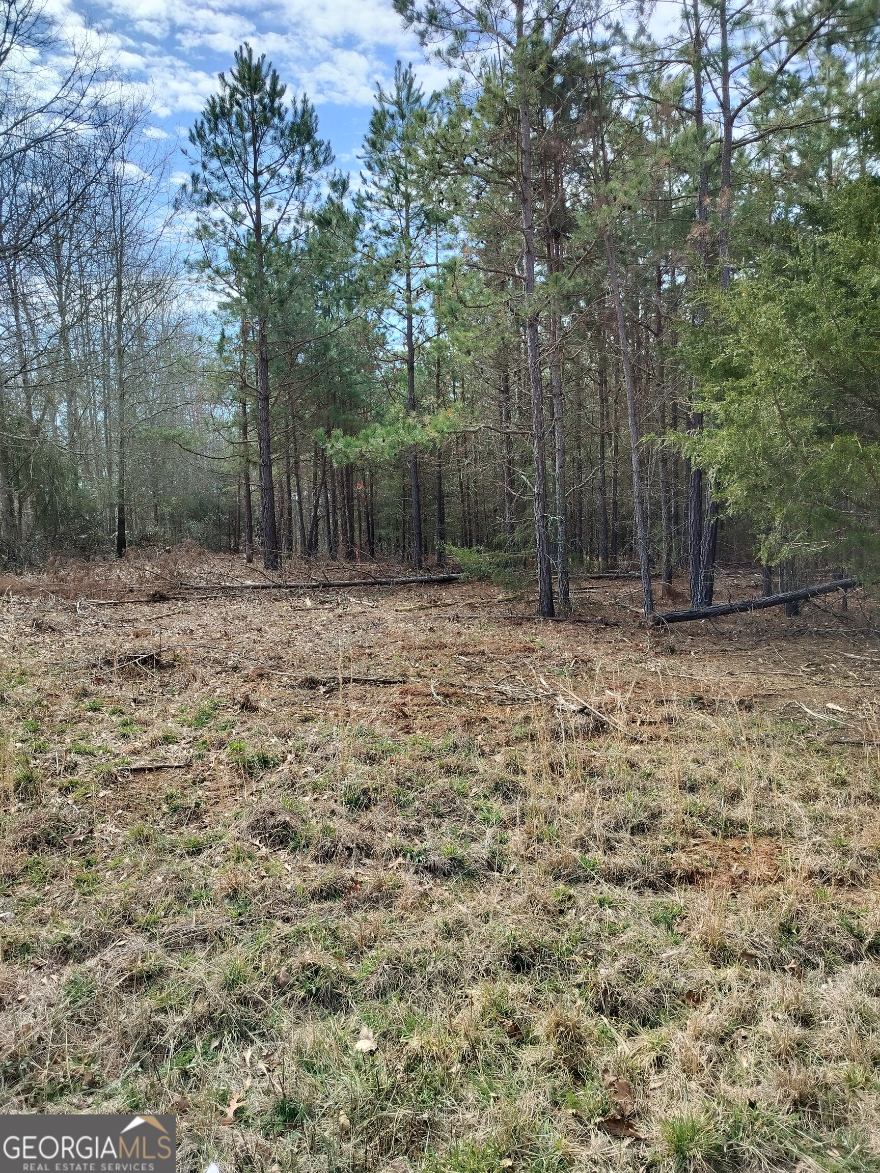0 Hickory Log Circle Eastanollee GA 30538