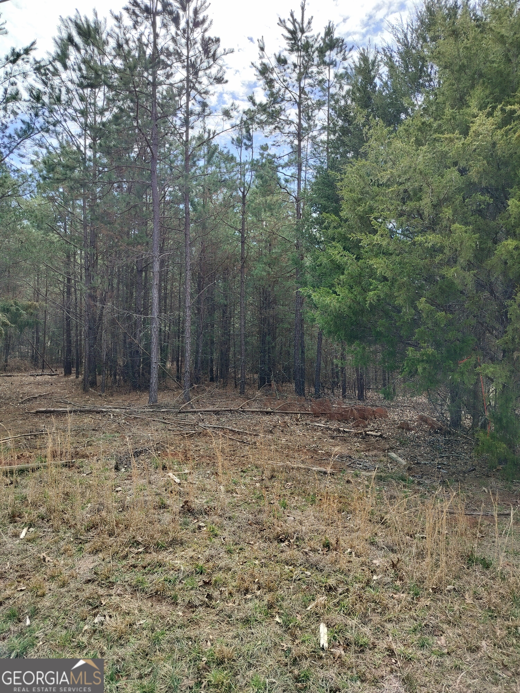 0 Hickory Log Circle Eastanollee GA 30538