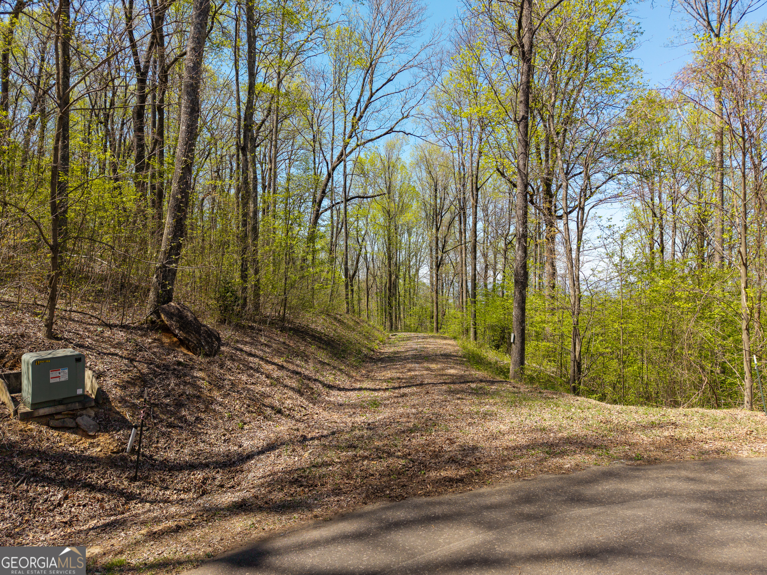 245 Smokerise Court Ellijay GA 30536