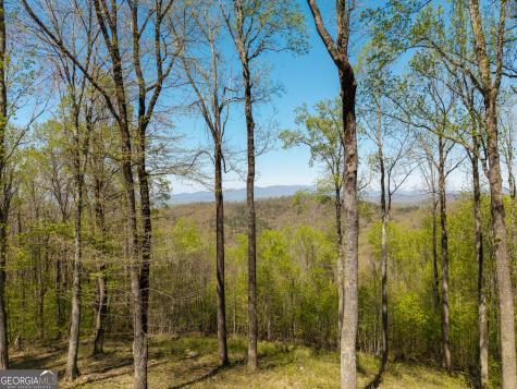 245 Smokerise Court Ellijay GA 30536