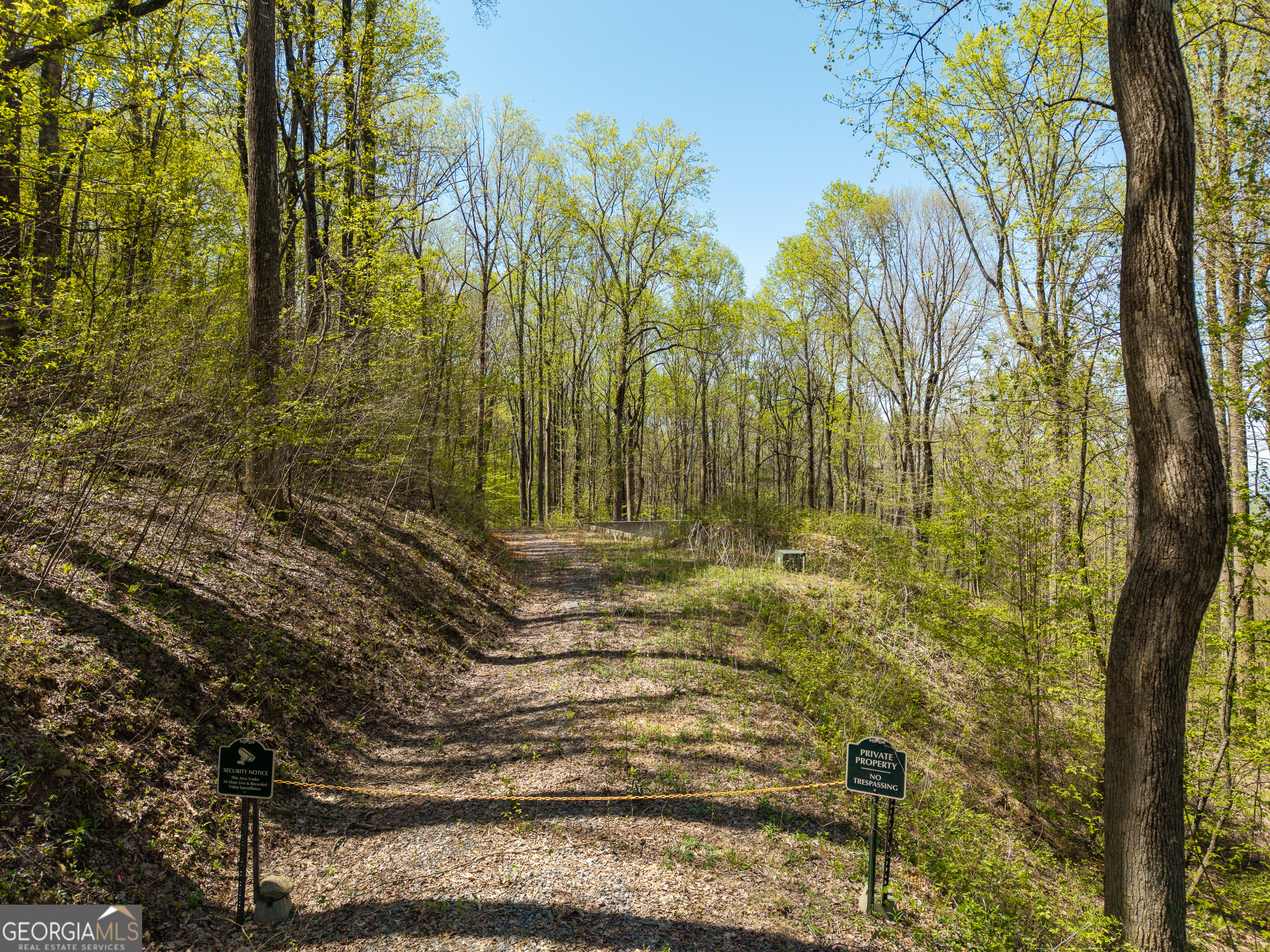 245 Smokerise Court Ellijay GA 30536